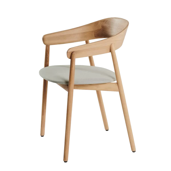 Janu Armrest Chair by Regular Company for Insan