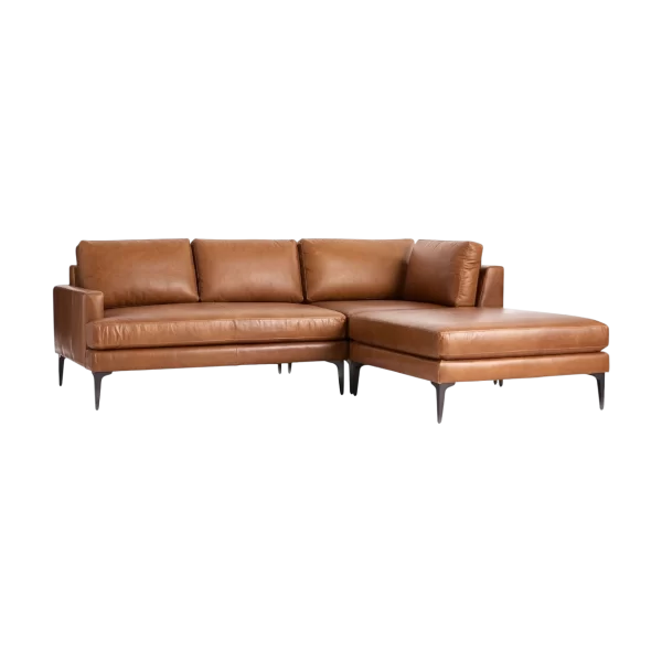 Andes Sectional