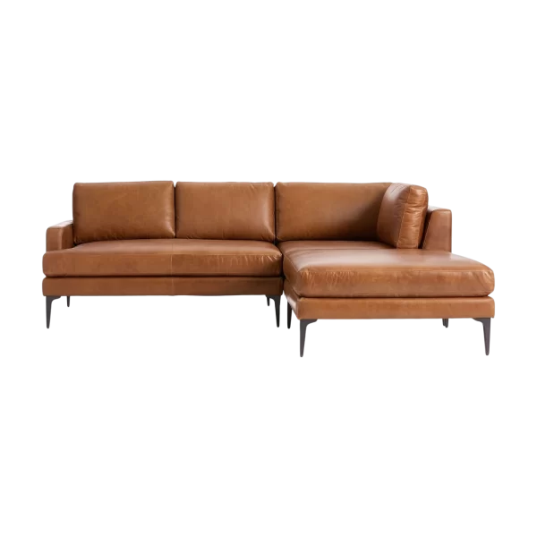 Andes Sectional